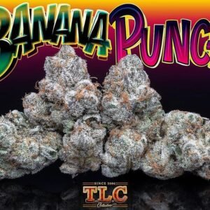 Jungle Boys Banana Punch