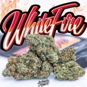 Jungle Boys White Fire